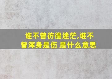 谁不曾彷徨迷茫,谁不曾浑身是伤 是什么意思